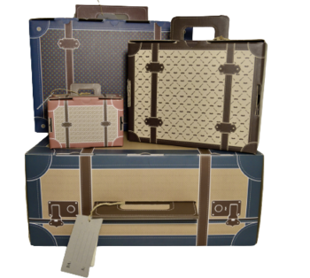 Saporalia's suitcases