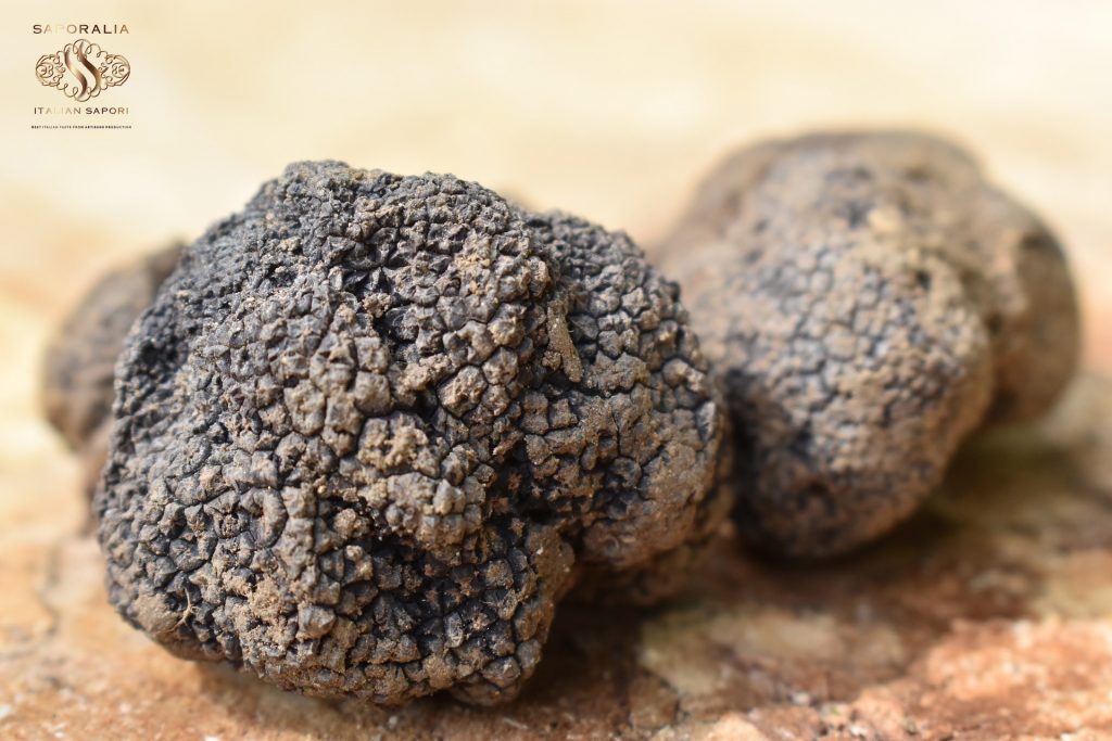 Saporalia truffle